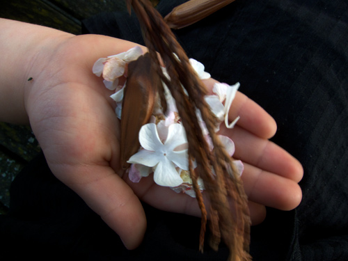 blog