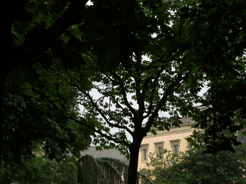 blog