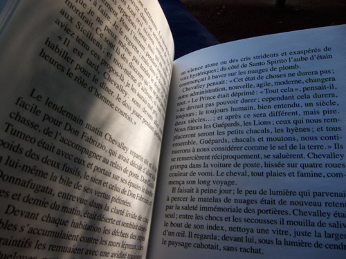 blog