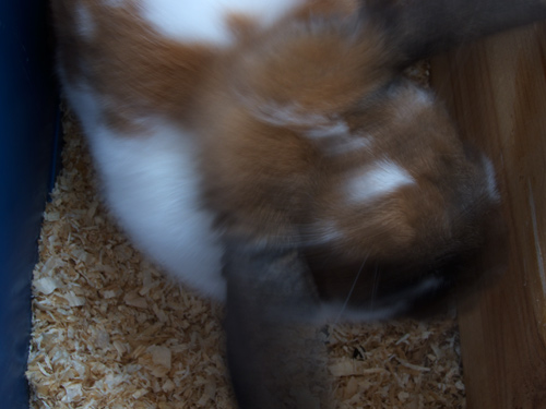 blog