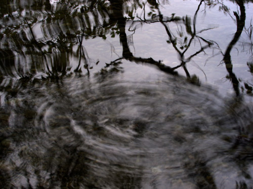 blog