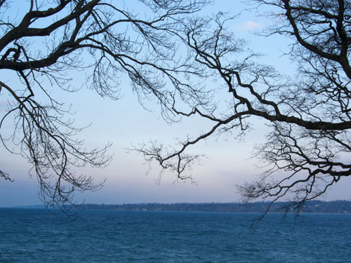 blog
