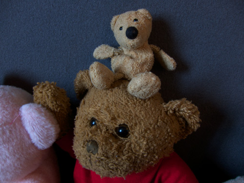 blog