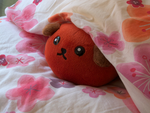 blog