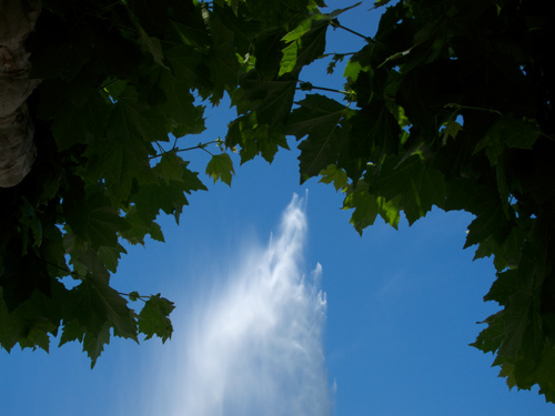 blog