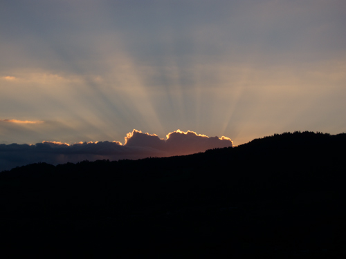 blog