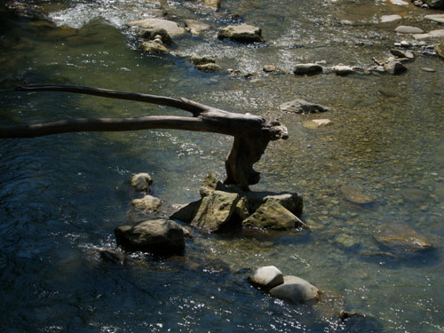 blog