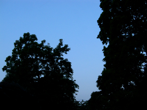 blog