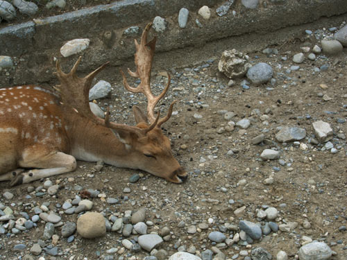 blog