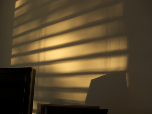 blog