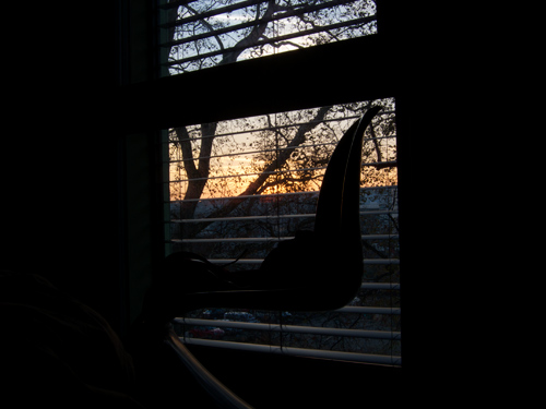 blog