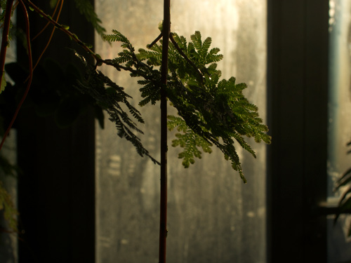 blog