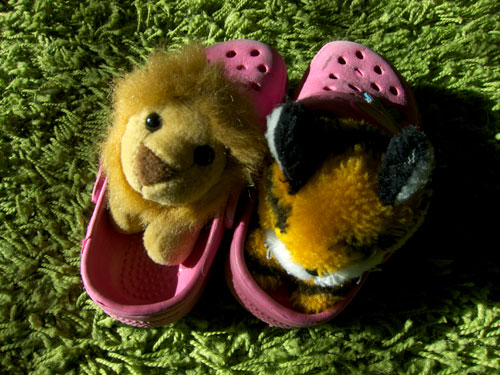 blog