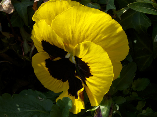 blog