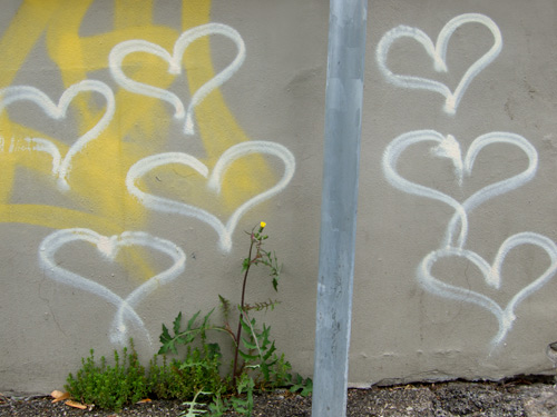 blog