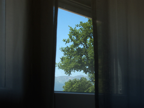 blog