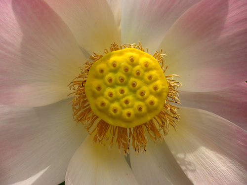 blog