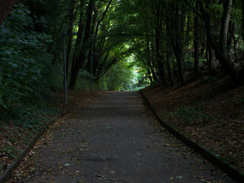 blog