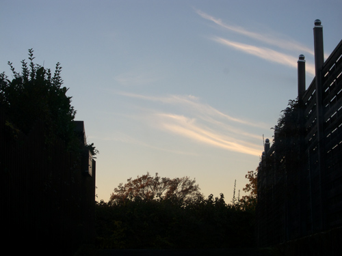 blog