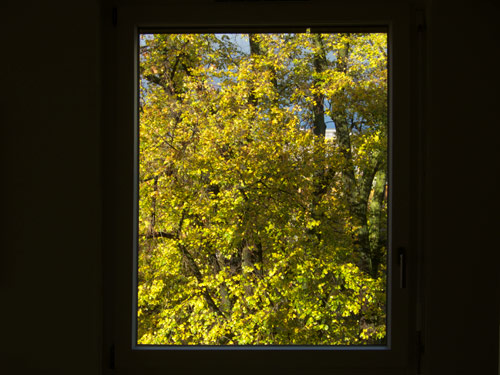 blog