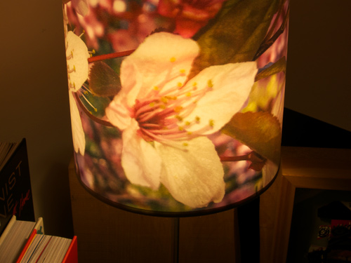blog