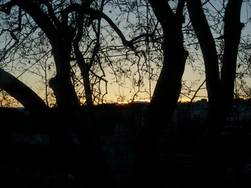 blog