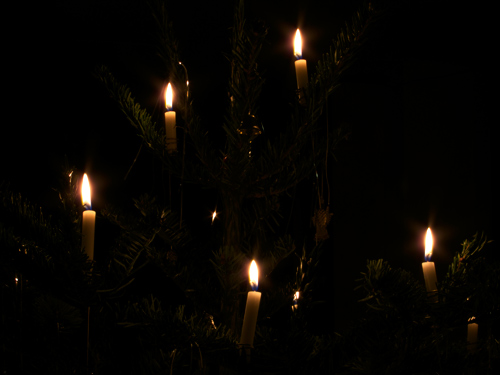 blog
