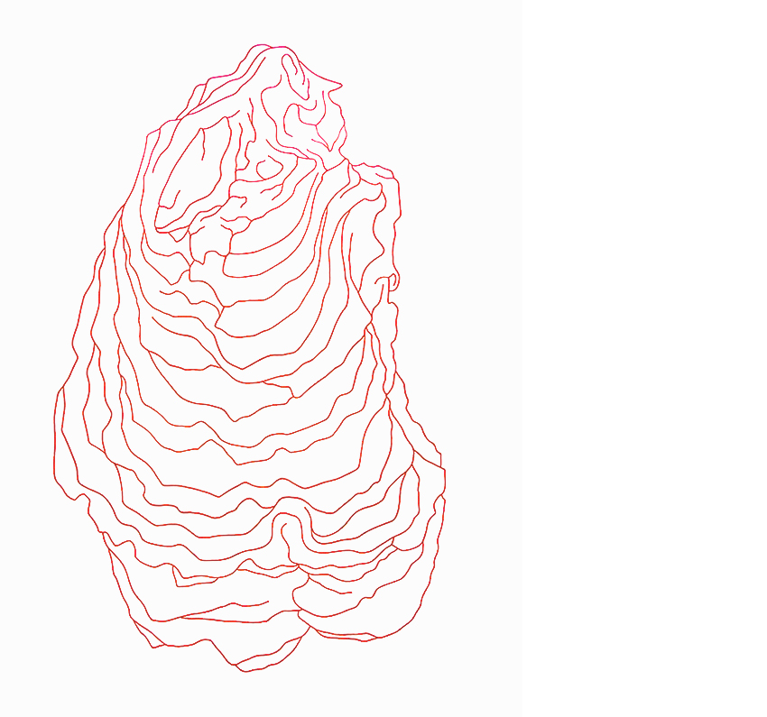Oyster 3