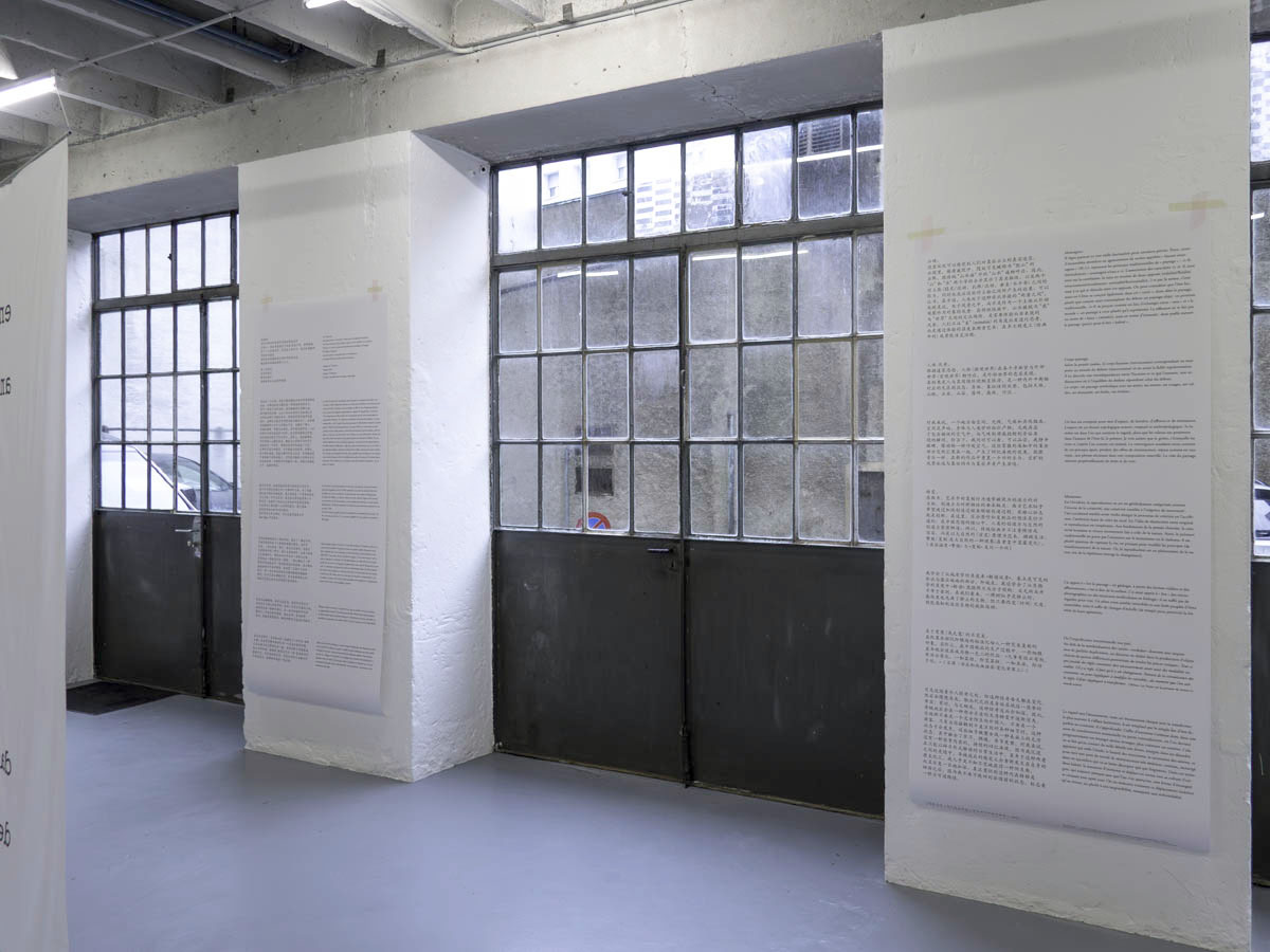 Standard Deluxe 2025