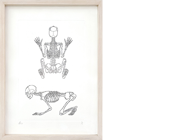 Sapiens gravure