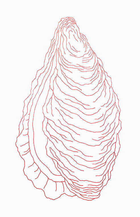 oyster1