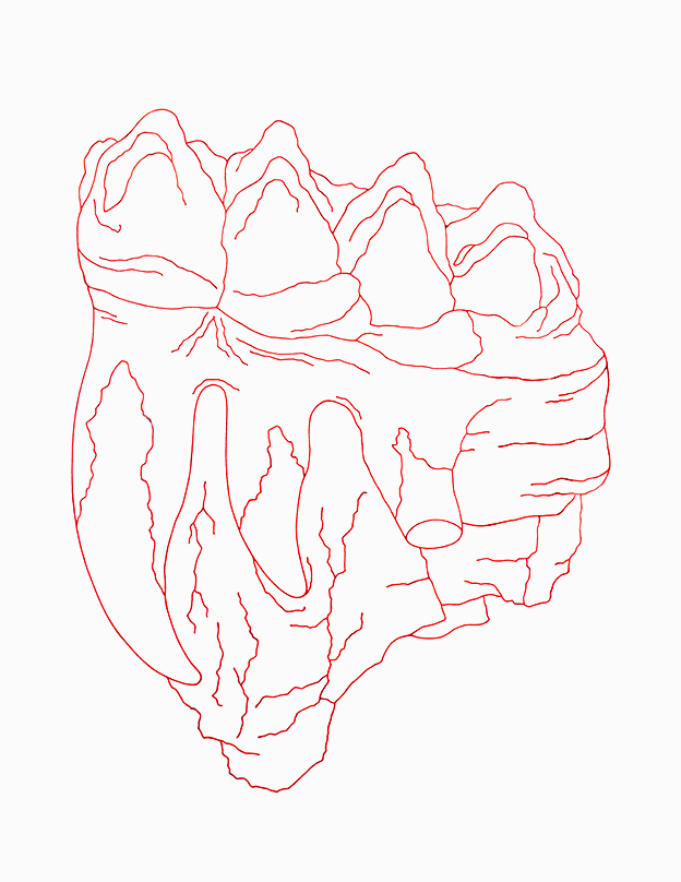 topography