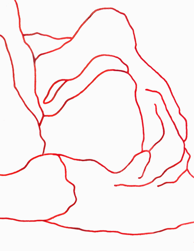 topography